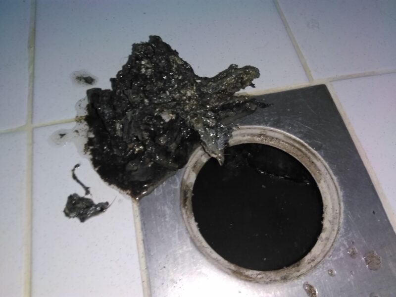 100501382_305324470458262_6851148031748734976_n